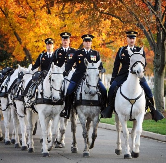 The Army's newest badge awarded to Old Guard Soldiers