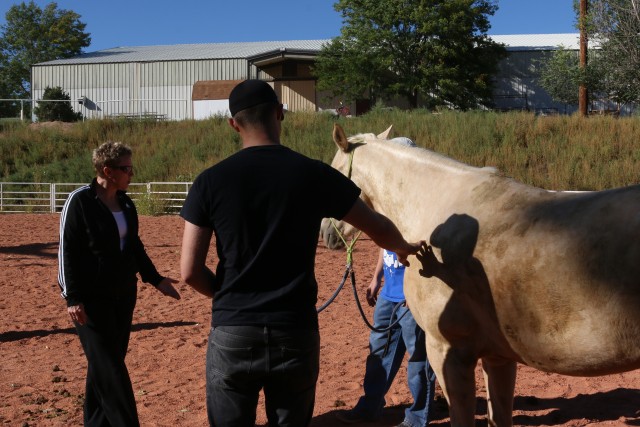Horses help Soldiers live in the moment