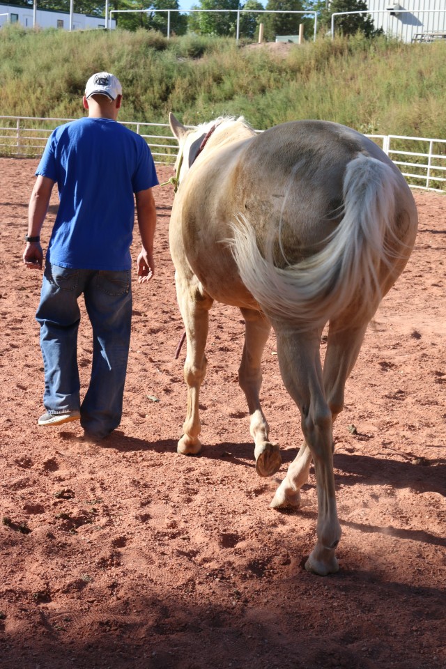 Horses help Soldiers live in the moment
