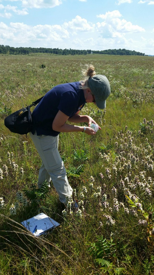 Surveys for endangered bumblebee held at installation
