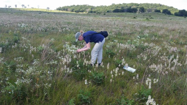 Surveys for endangered bumblebee held at installation