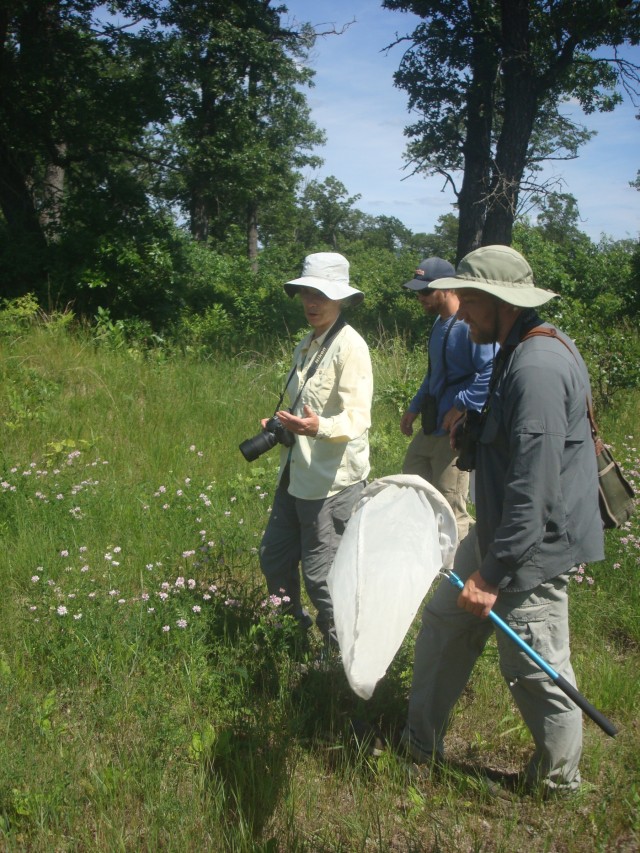 Surveys for endangered bumblebee held at installation