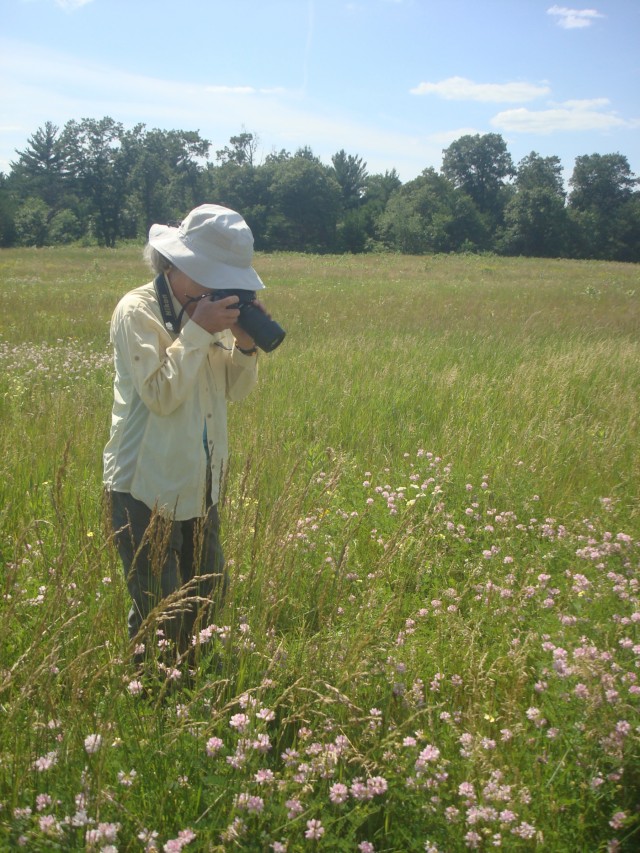 Surveys for endangered bumblebee held at installation