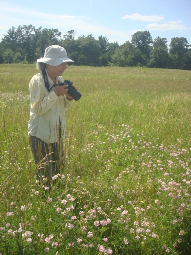 Surveys for endangered bumblebee held at installation