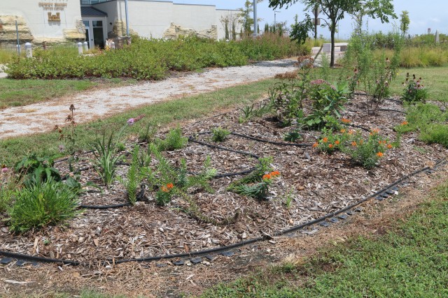 Dewey Short is buzzing with new learning opportunities