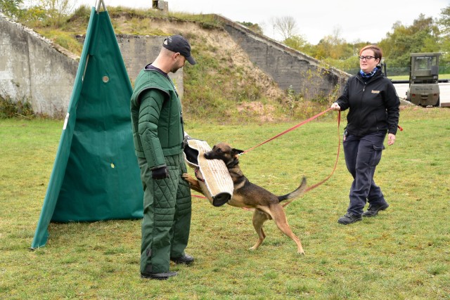 Military working dog takes a bite