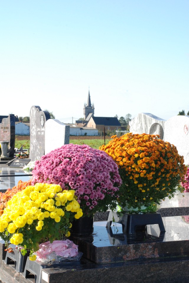 Chrysanthemums at a cemetery 