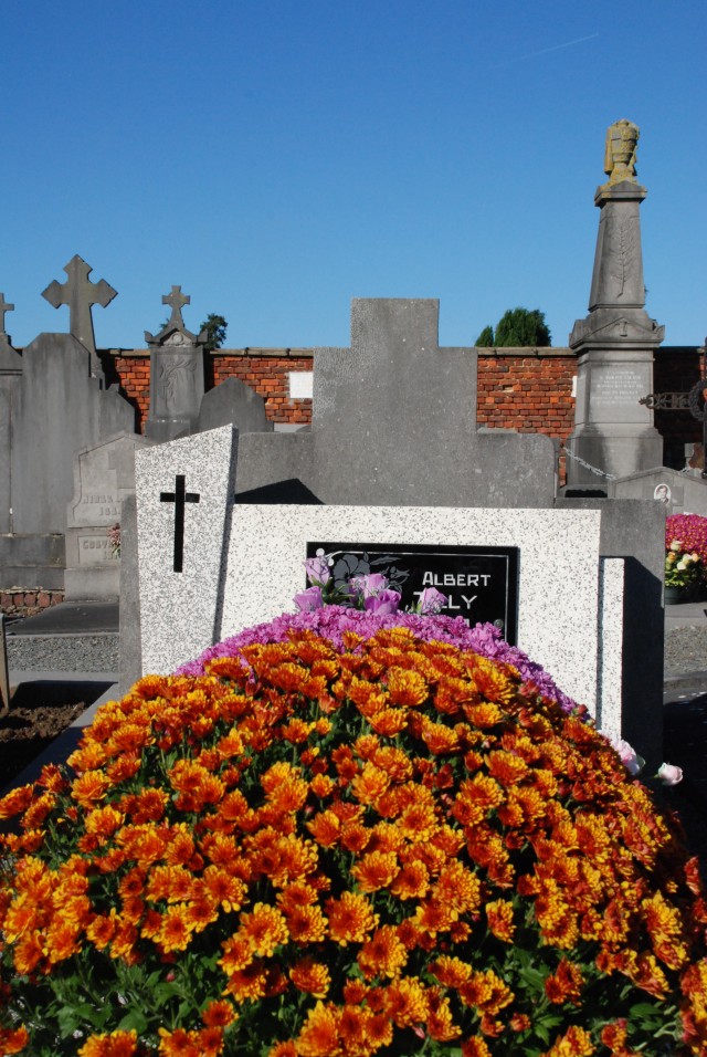 Chrysanthemums in a cemetery