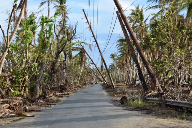 Damaged Power Lines in Humacao, PR