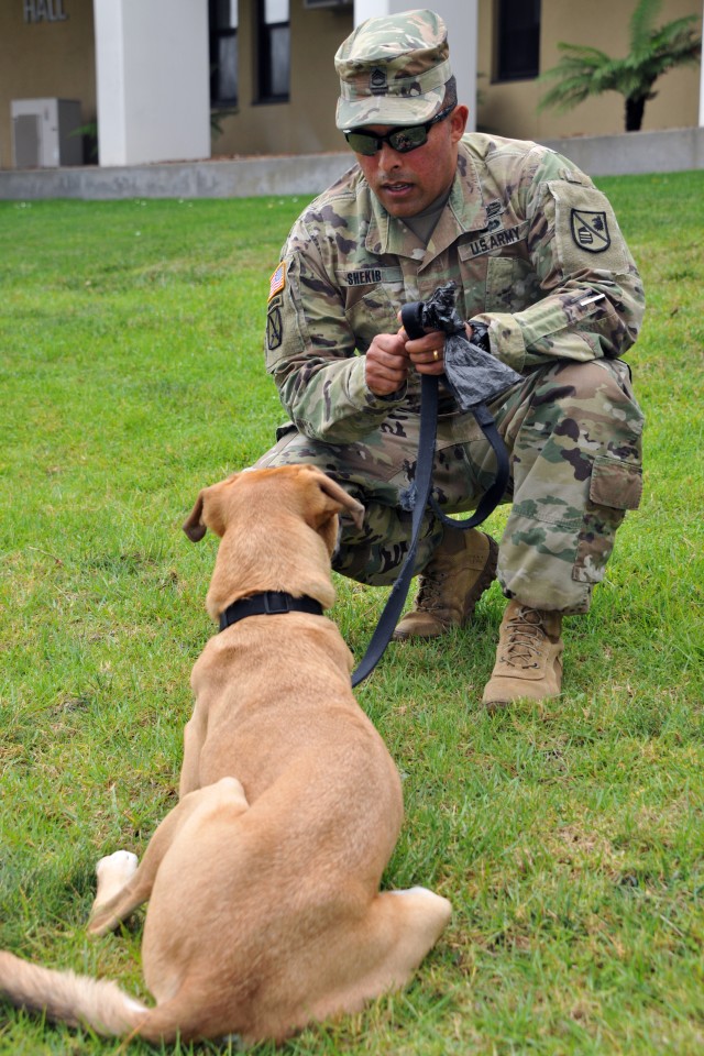 Soldier-linguist and Afghan native fulfills his American Dream