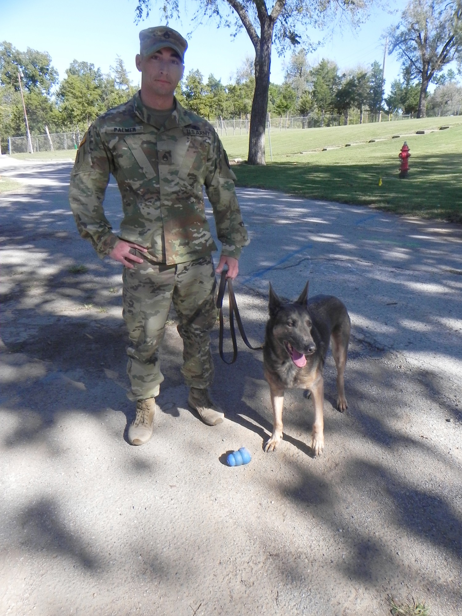 Military Working Dogs Retire To Handlers Homes Article The United States Army