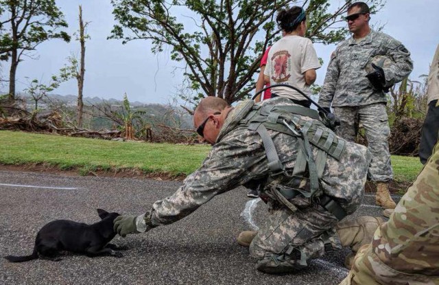 New York Army Guard aviators flew relief supplies and people to support Puerto Rico