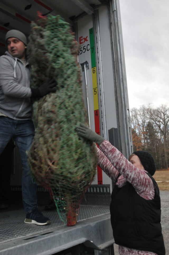 New York National Guard Soldiers help deliver Trees for Troops