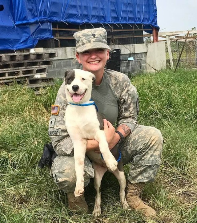 Virgin Islands dog finds new home with New York National Guard MP