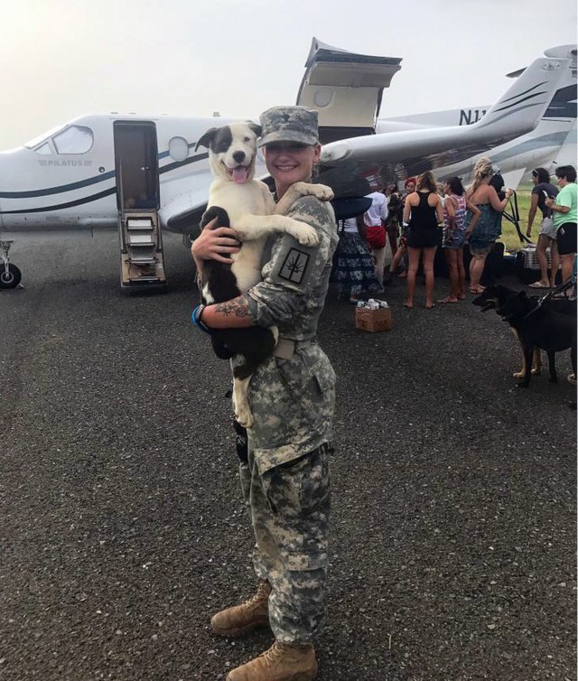 Virgin Islands dog finds new home with New York National Guard MP