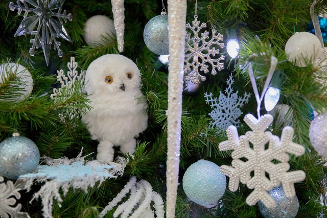 Winter White