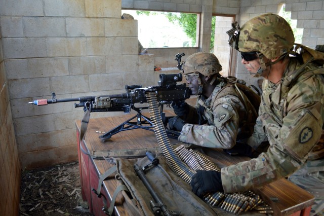 'Cacti' clears the room during squad live fire