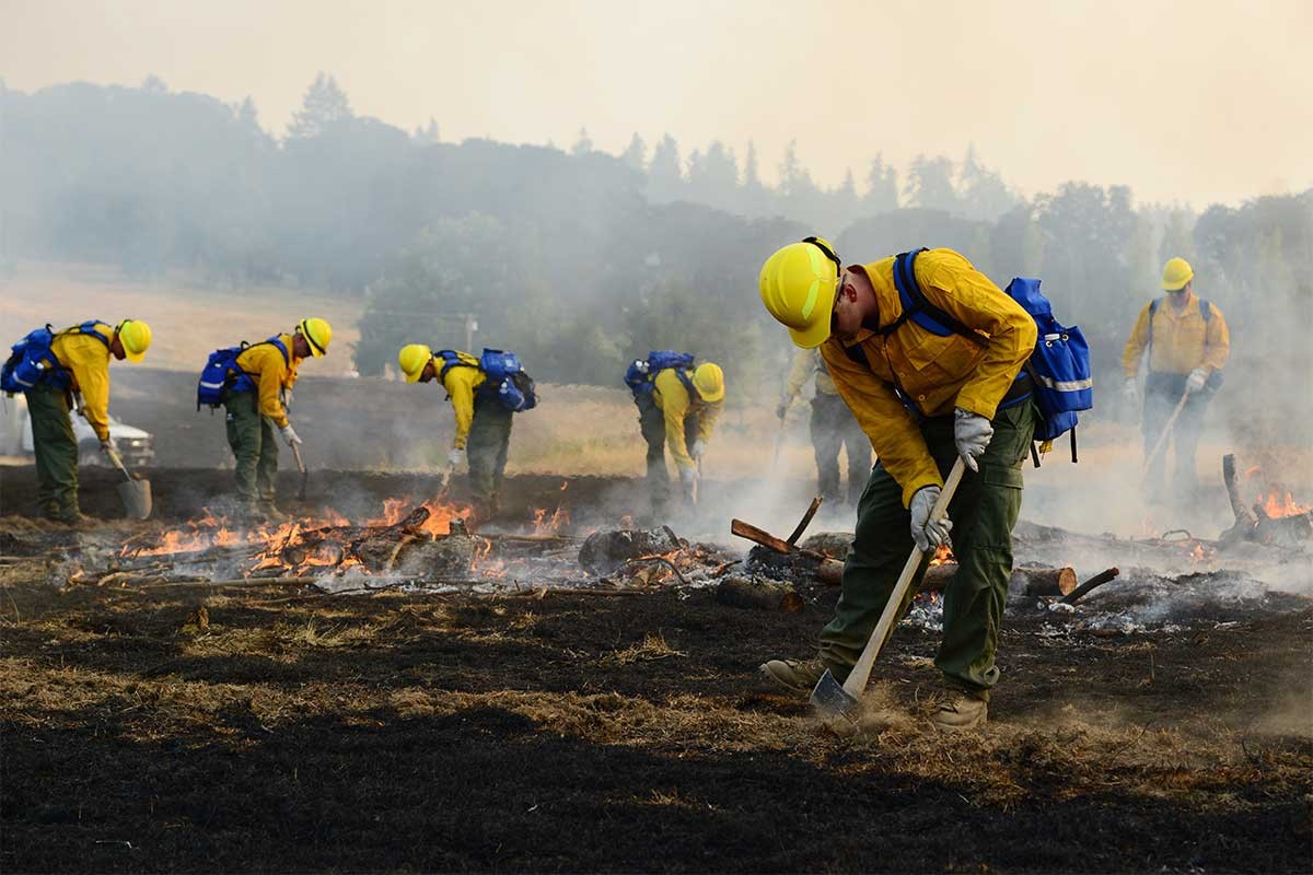 Wild land fire practice