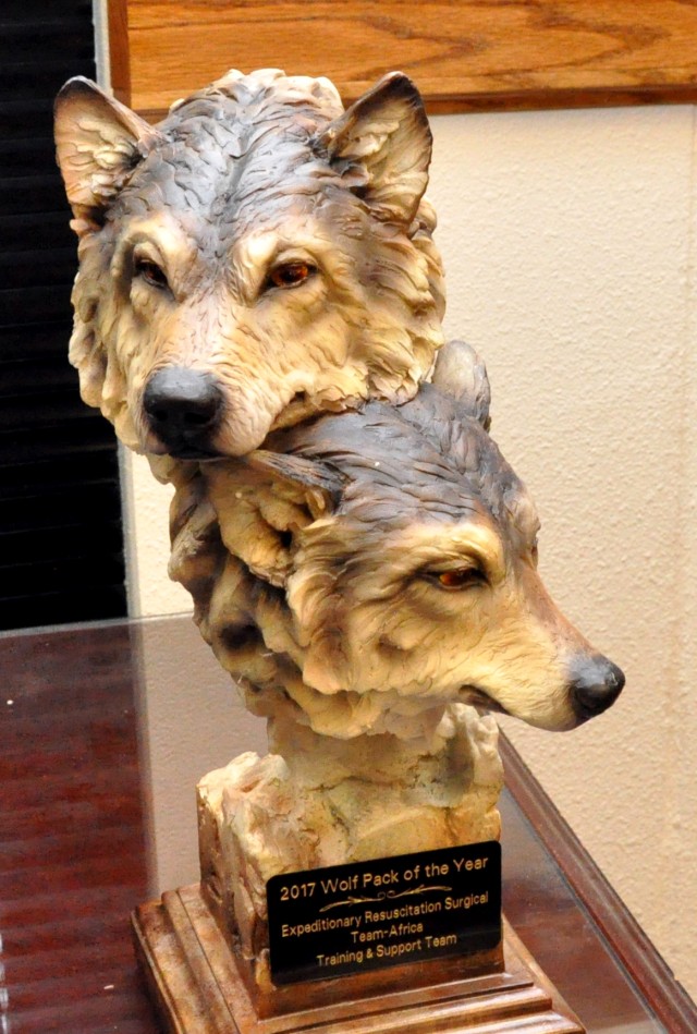 2017 Army Medicine Wolf Pack Award