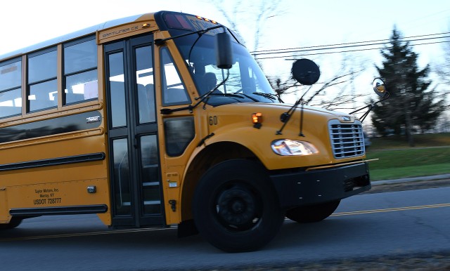 Bus Driver