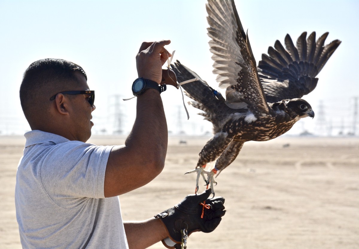 Kuwait Veterinarian Branch Chief visits local Falconer Article The