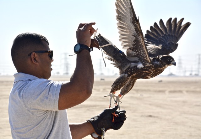 Kuwait Veterinarian Branch Chief visits local Falconer