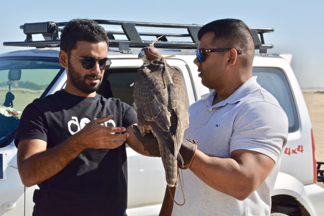 Kuwait Veterinarian Branch Chief visits local Falconer