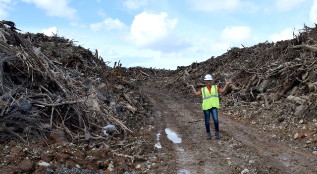 Standing tall among the debris