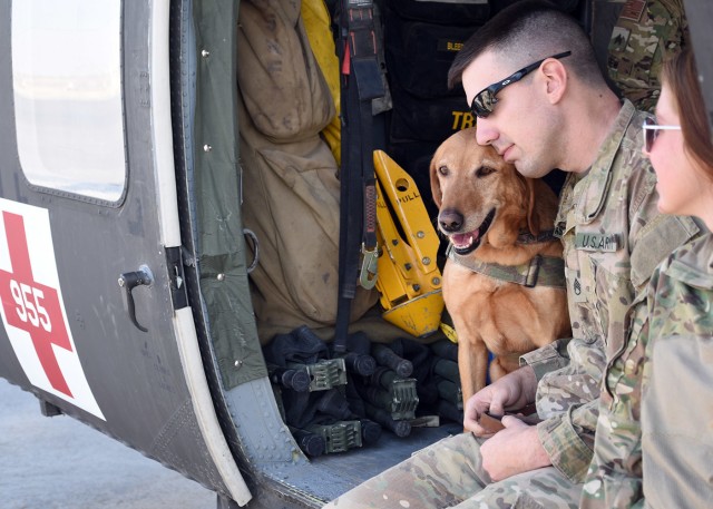 Army dogs get the best vet care, attention while they save Soldiers' lives in Afghanistan