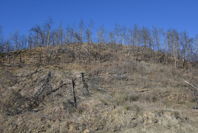 Silver Jackets team learns about Gatlinburg wildfires