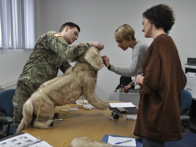 Belgian and U.S. Army veterinarians discuss best practices