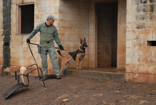 Joint Training increases K-9, Handler Skills