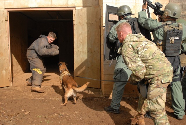 Joint Training increases K-9, Handler Skills