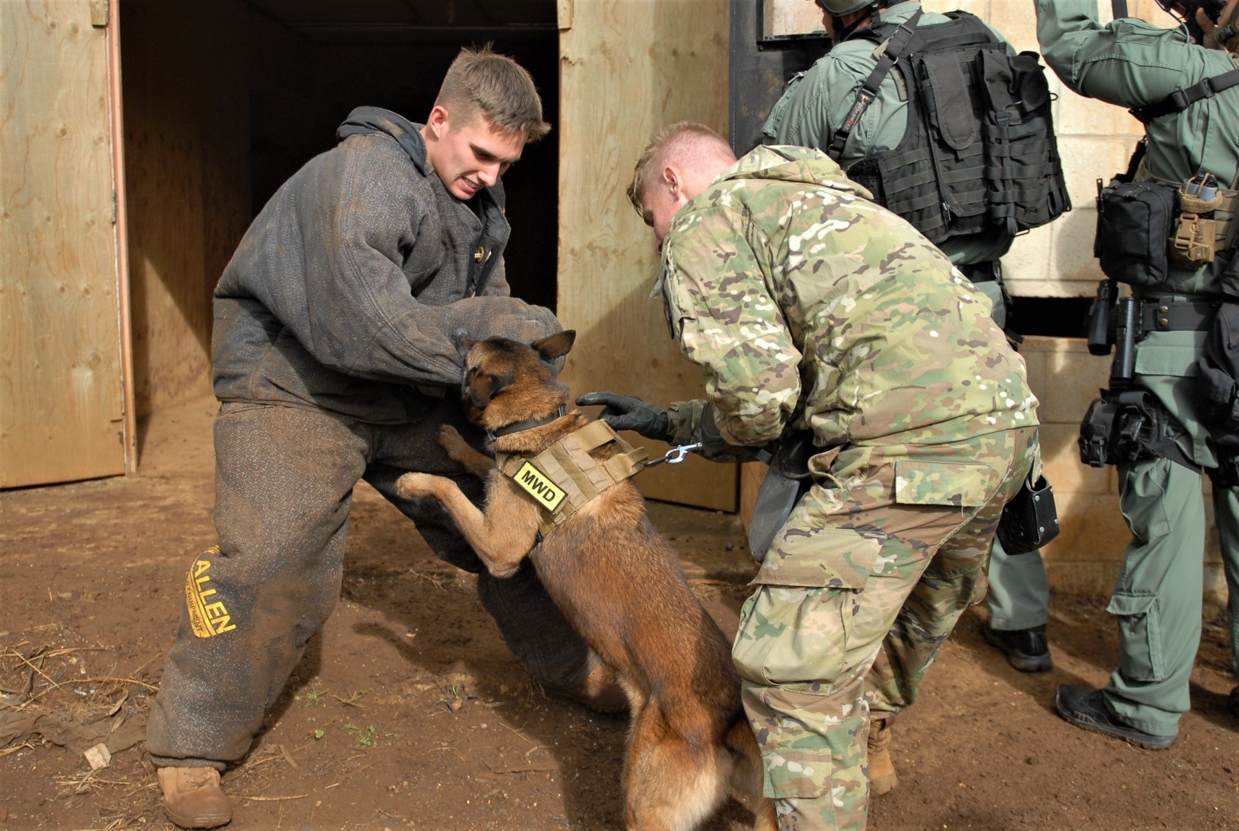 Joint Training Increases K 9 Handler Skills Article The United 