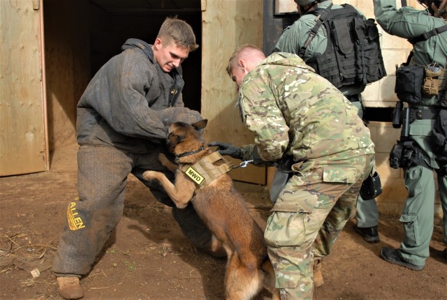 Joint Training increases K-9, Handler Skills