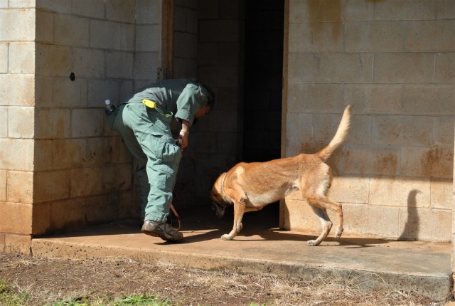 Joint Training increases K-9, Handler Skills