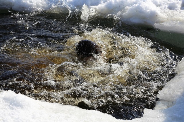 Cold-Weather Operations Course Class 18-04 students complete cold-water immersion training at Fort McCoy