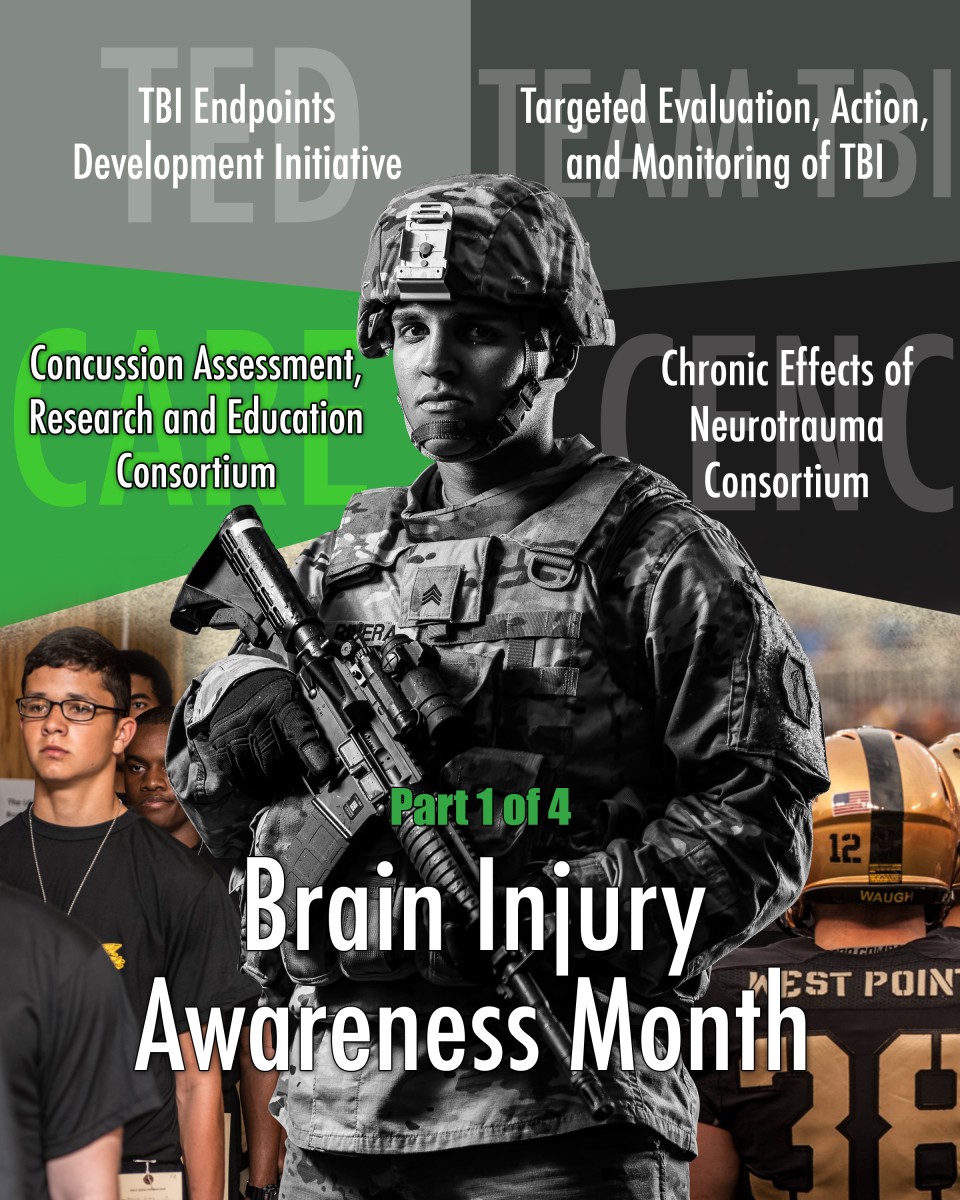 Research Supporting a Lifetime of Brain Injury: Part 1 of 4 | Article ...