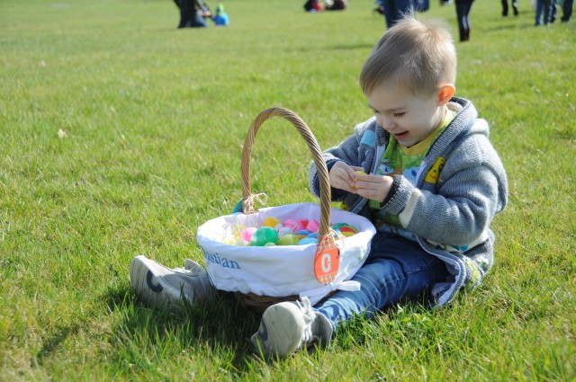 A little boy looks at this eggs