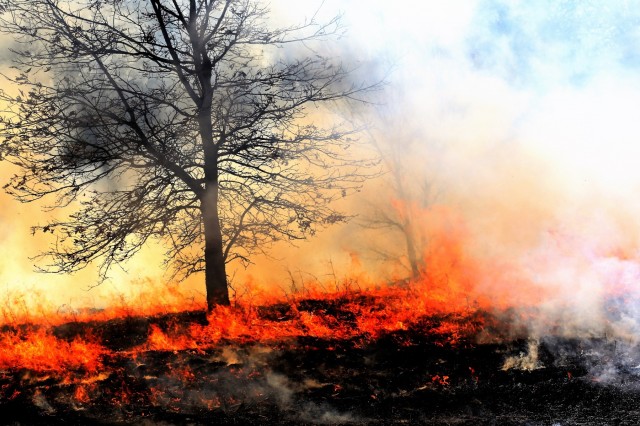 Fort McCoy's 2018 prescribed burn season underway