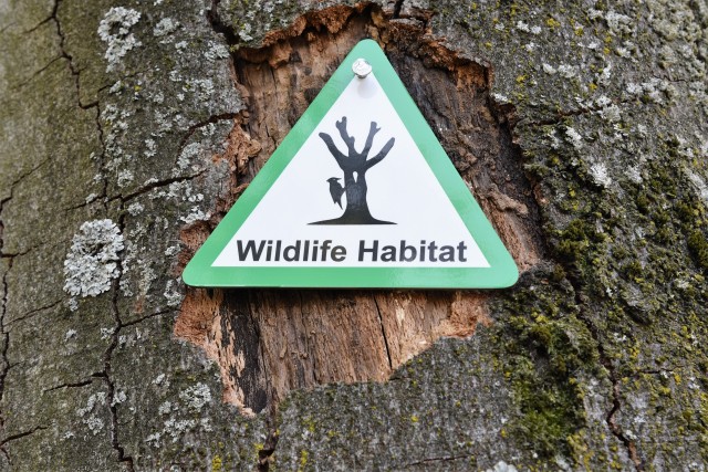 Sign 2