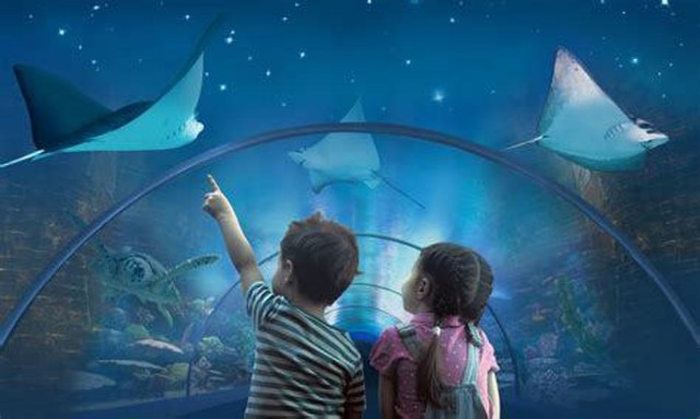 Acquarium - Livorno