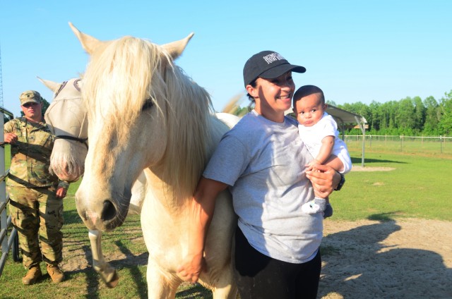 Volunteers at local equine rescue heal through care, love