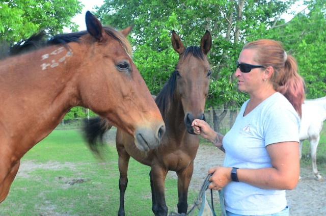 Volunteers at local equine rescue heal through care, love