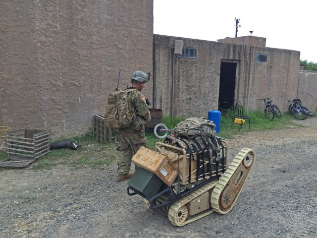 TEAMING WITH ROBOTS