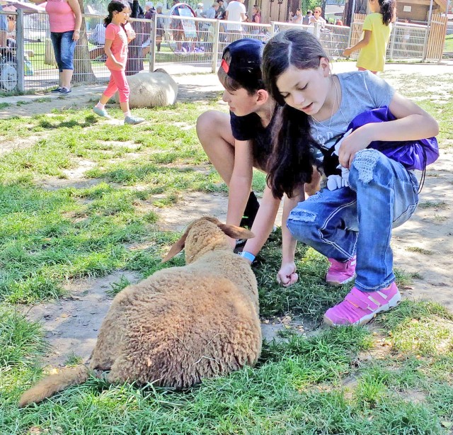 Trips, theme weeks, sports and more on tap this summer for community youths