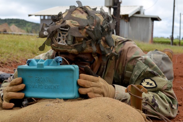 'Tropic Lightning' Soldiers train up on weapons for EIB