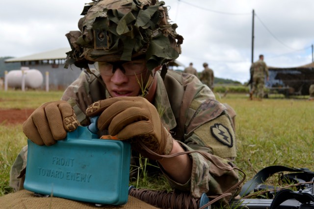 'Tropic Lightning' Soldiers train up on weapons for EIB