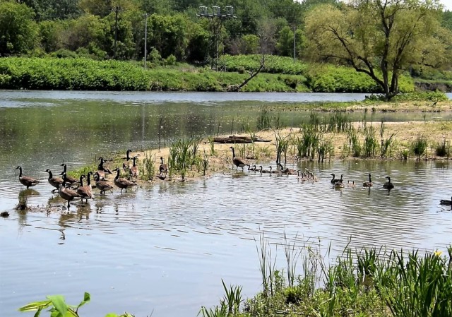 Seneca Bluffs ecosystem restoration project site visit