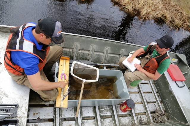 Fish population surveys help improve Fort McCoy's fisheries management